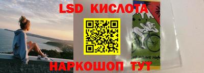 винт Будённовск