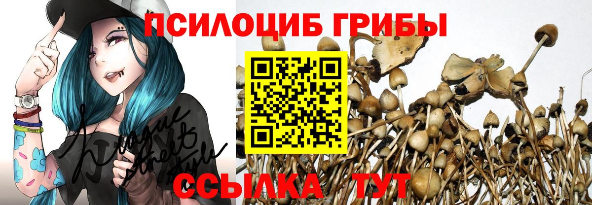 Горячий Ключ  закладка  Вход с VPN  Галлюциногенные грибы Magic Shrooms  Галлюциногенные грибы MAGIC MUSHROOMS 