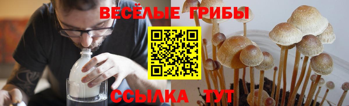 Псилоцибиновые грибы Magic Shrooms Горячий Ключ